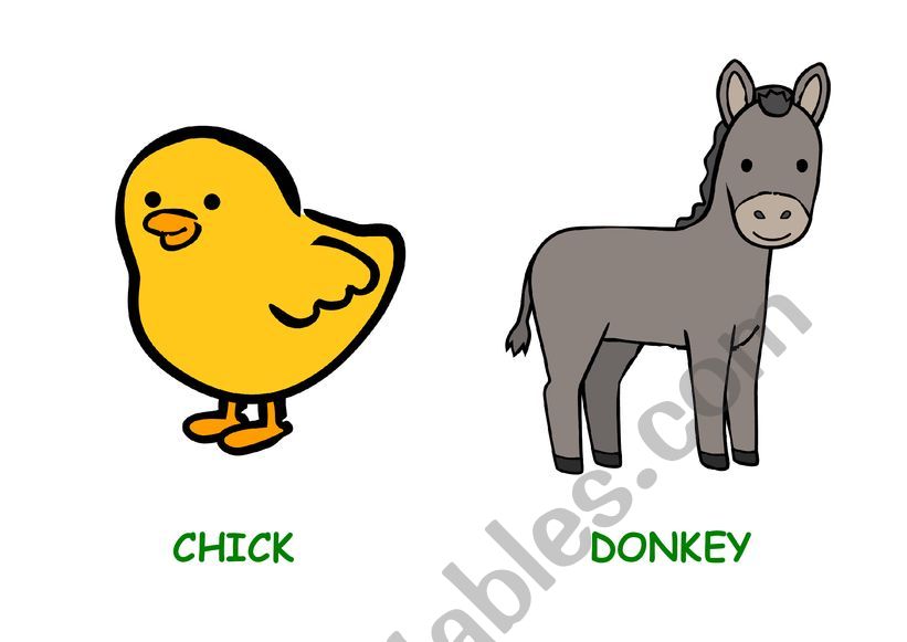 Farm animals flashcards worksheet