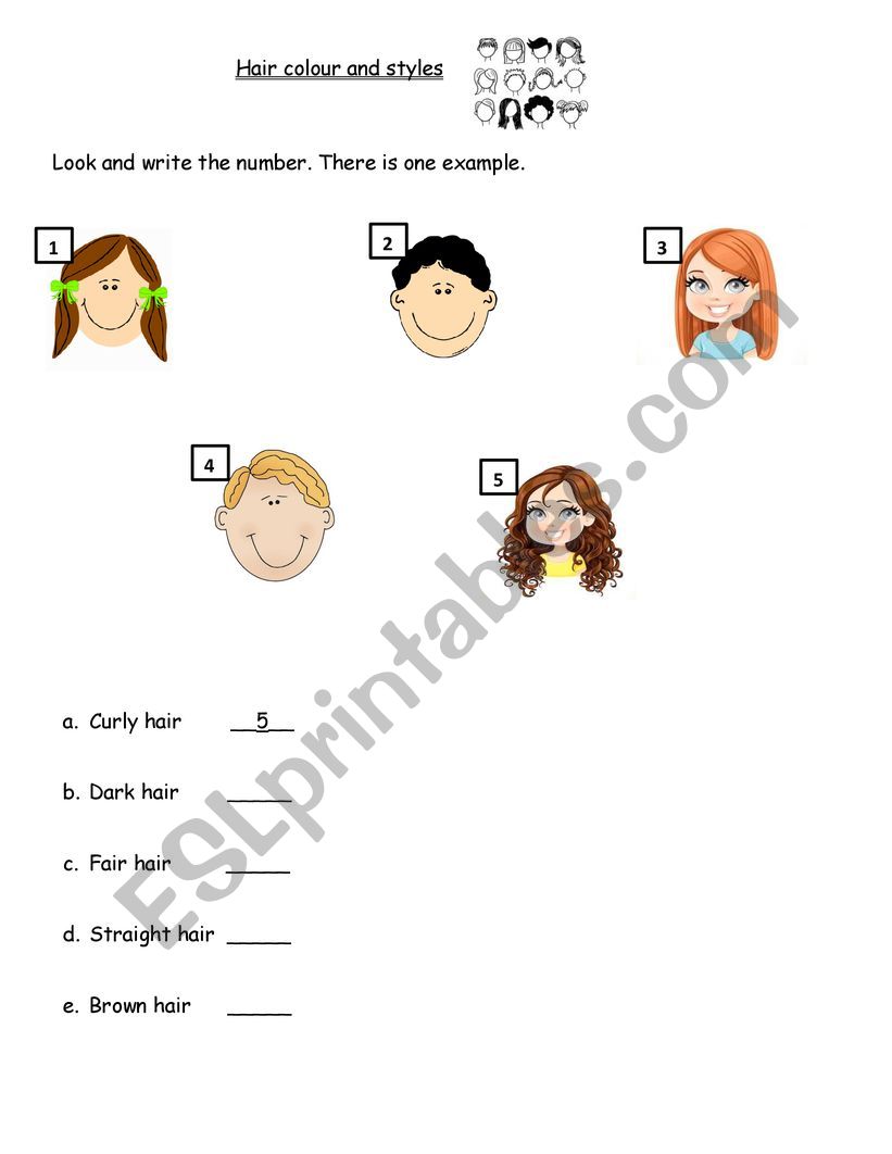 Hair colour and styles worksheet