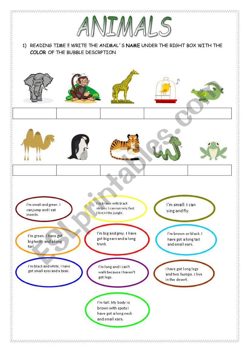 Animals: read the riddle and put the correct name under each picutre - ESL  worksheet by rocio88