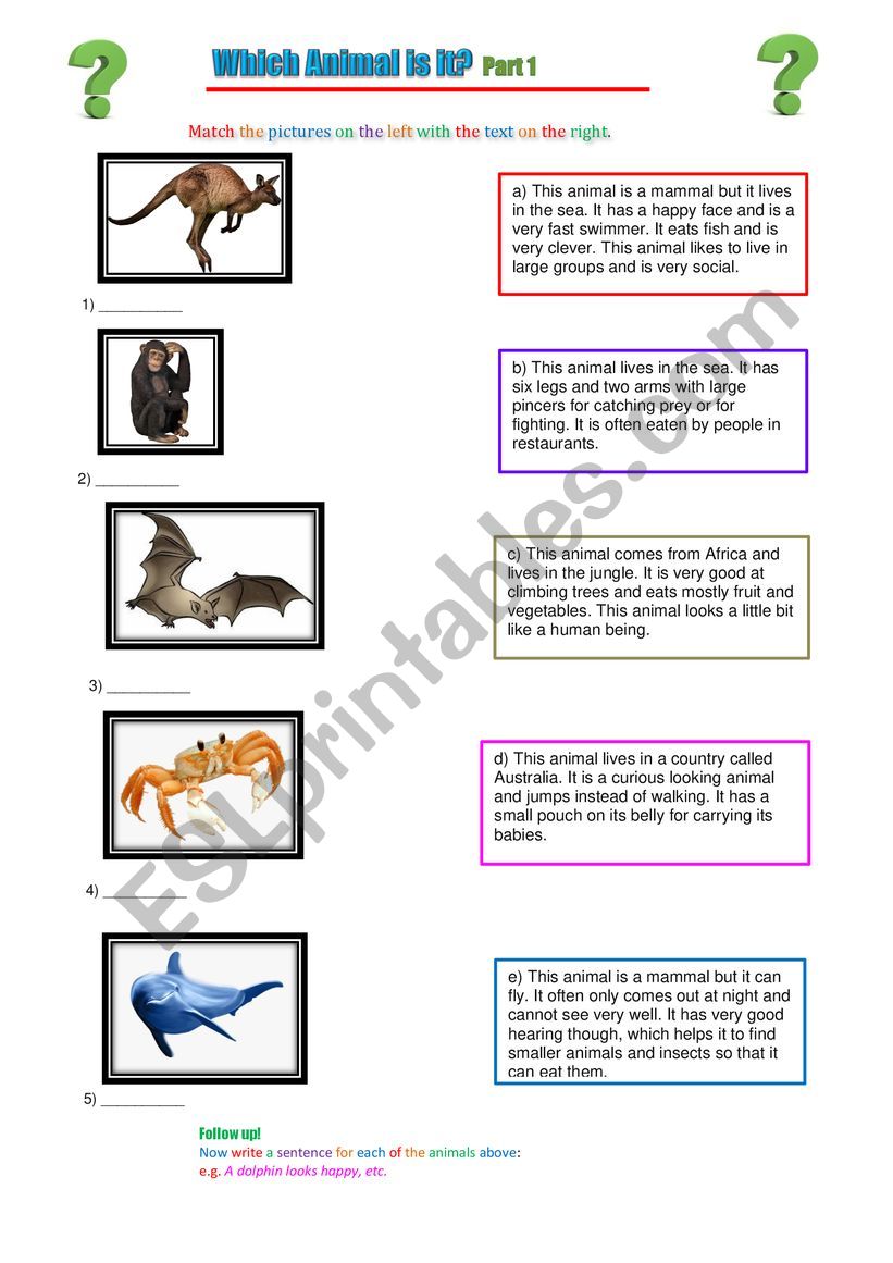 Which animal is it? 1 worksheet