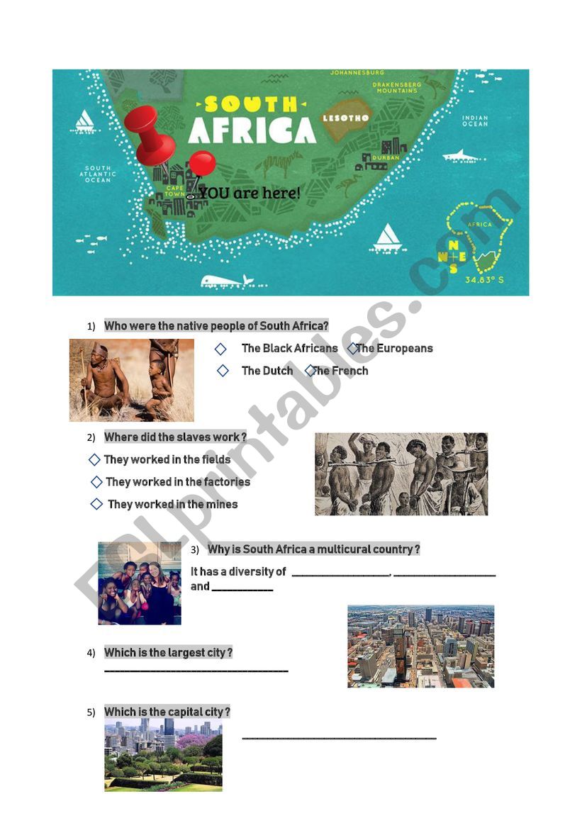 SOUTH AFRICA QUESTIONNAIRE worksheet