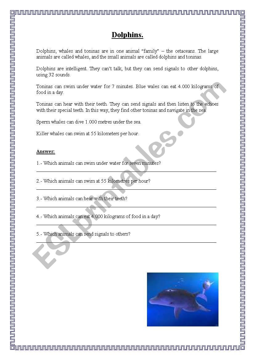 Dolphins worksheet