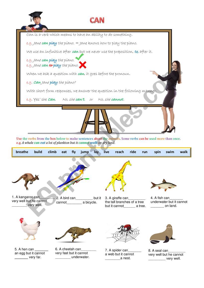 Can - Animals  worksheet