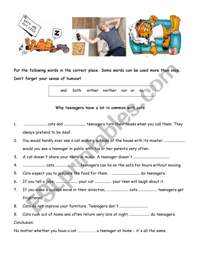 Cats and Teens worksheet