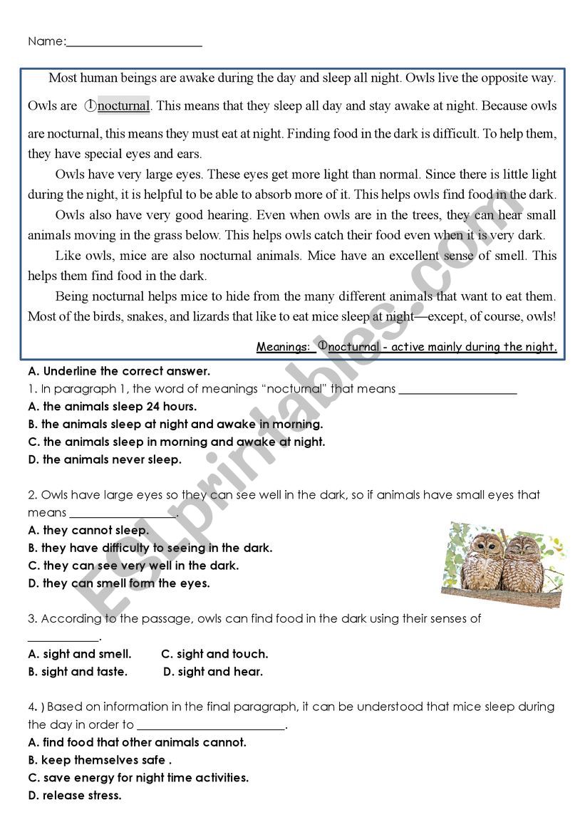 Reading comprehension worksheet