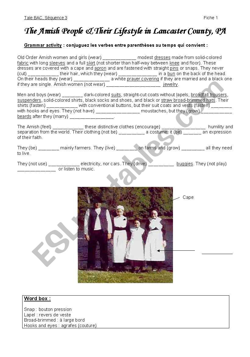 Amish people worksheet