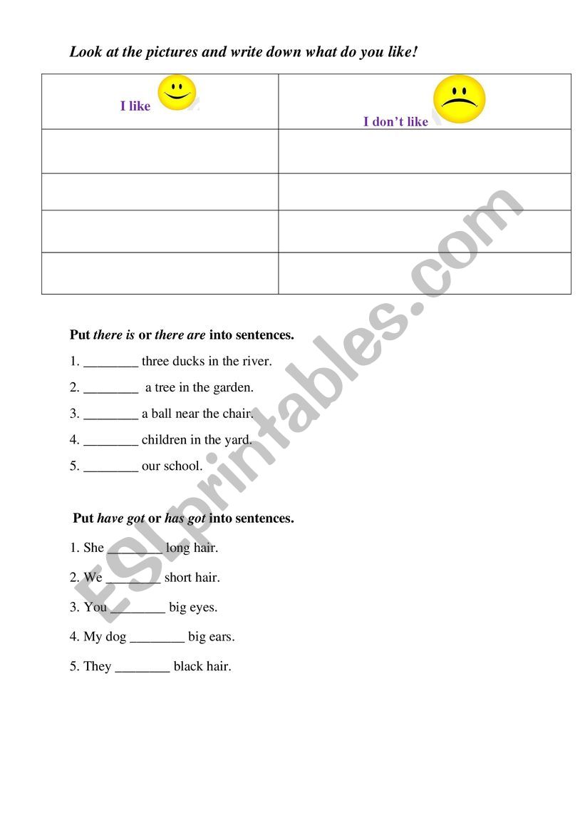 Test : have/has got; I like/ I donÃ¯Â¿Â½t like; there is/are