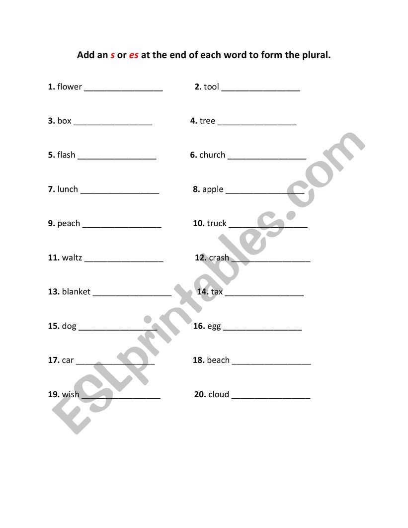 PLURAL OF NOUNS worksheet