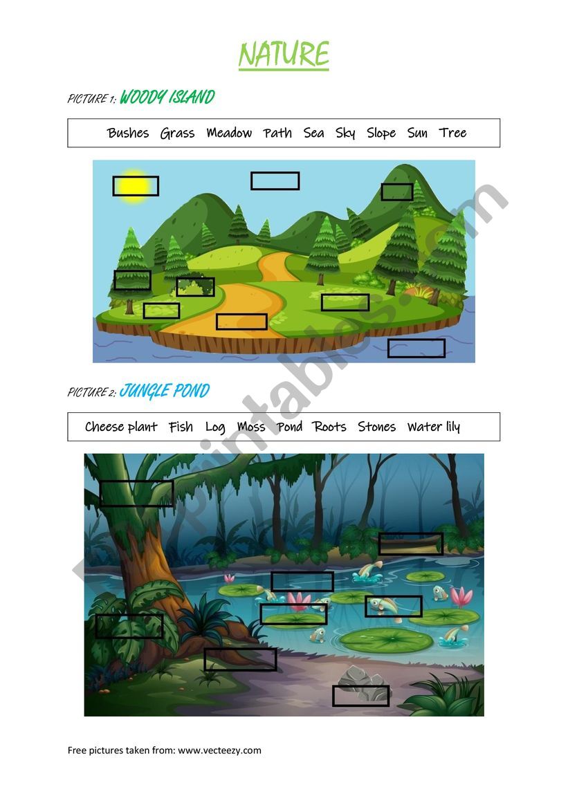 NATURE - matching features to pictures 1