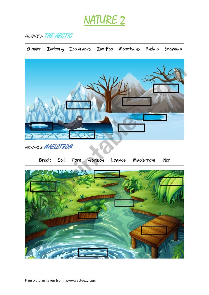 NATURE - matching features to pictures 2