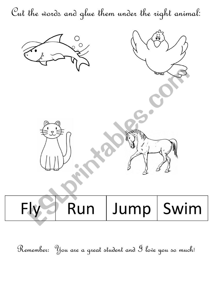 Homework animals and verbs worksheet