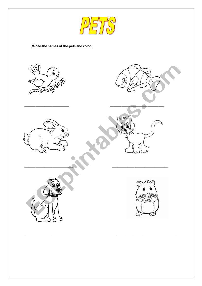 Pets - write and color worksheet