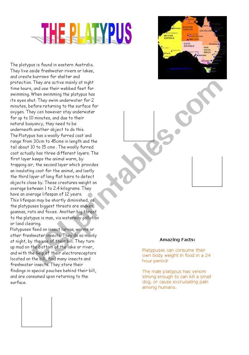 THE PLATYPUS worksheet