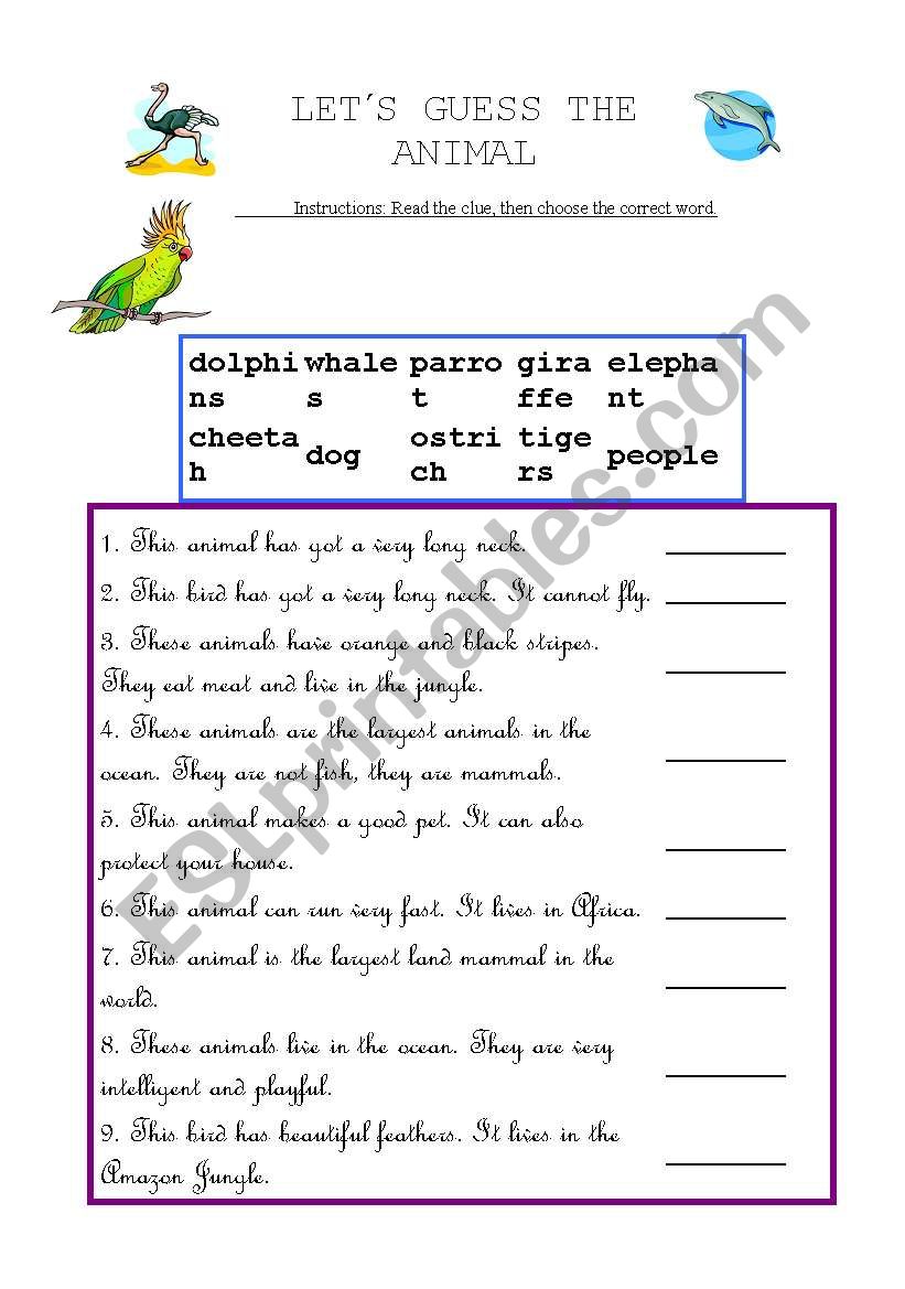 Wild Animal Quiz worksheet