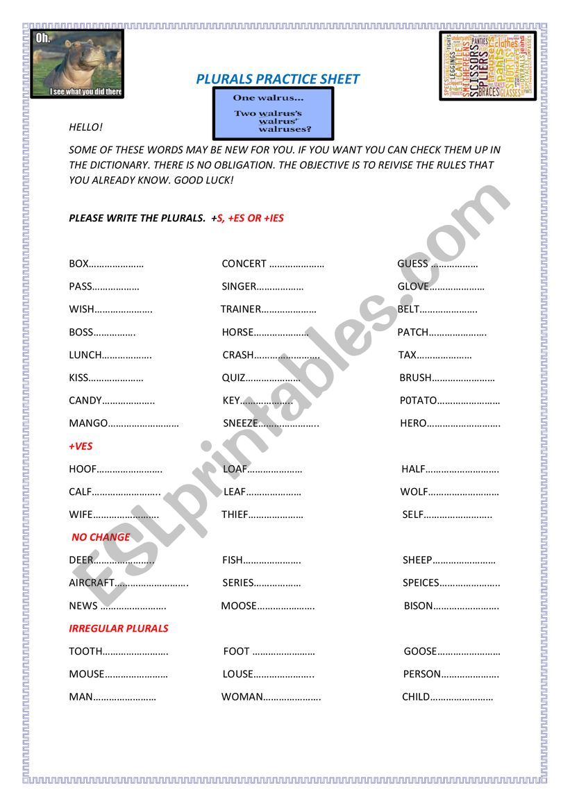 Plurals Practice Sheet worksheet
