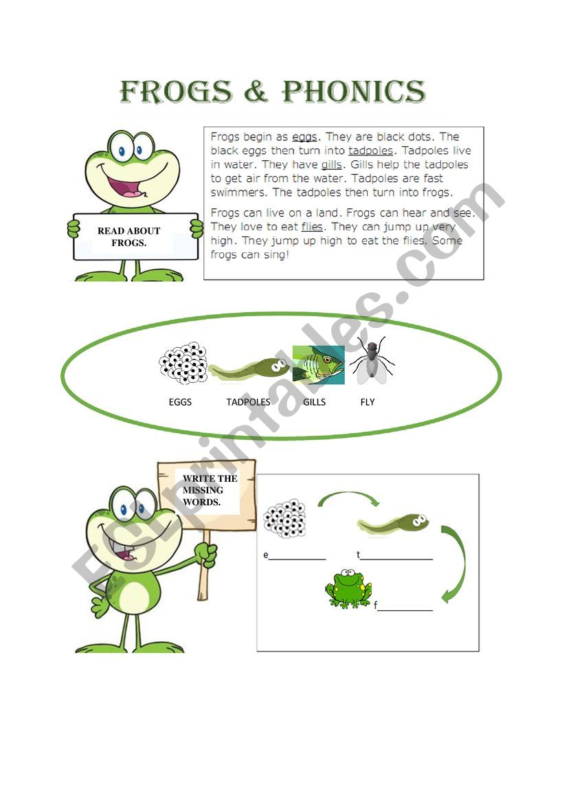 Frogs & Phonics worksheet
