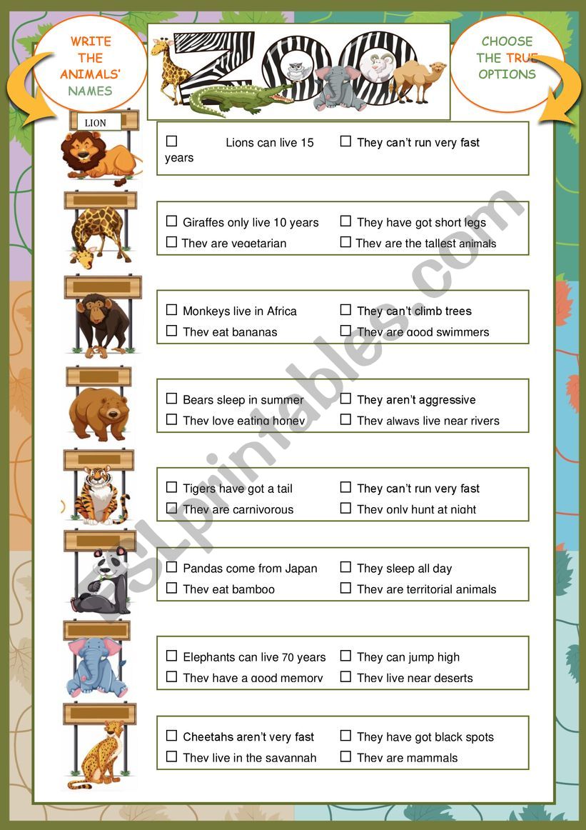 ZOO worksheet