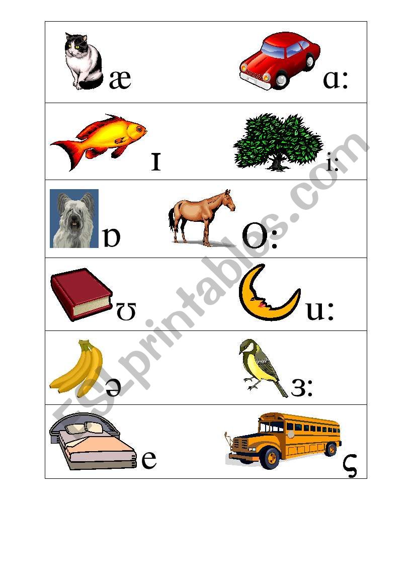 Phonetics : short & long vowels