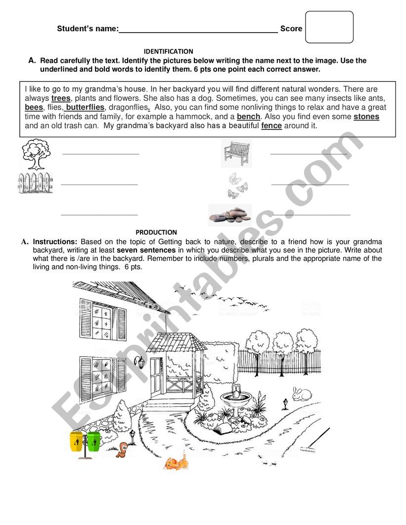 My Backyard  worksheet