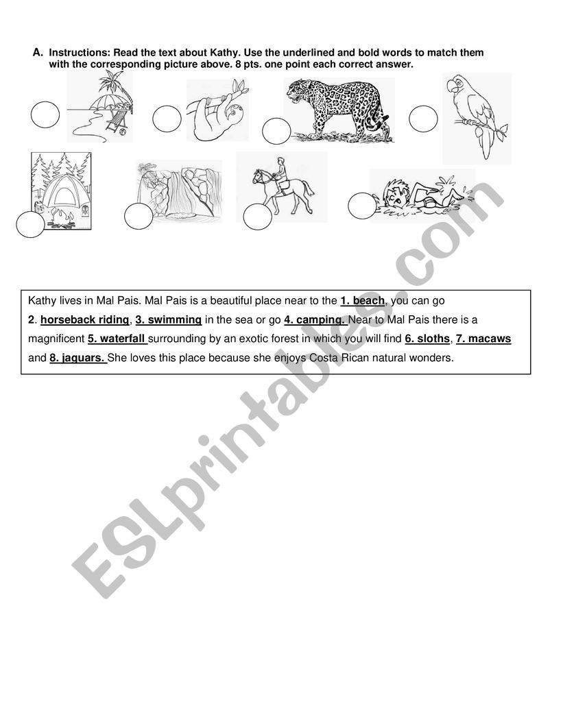 Travel Plans worksheet