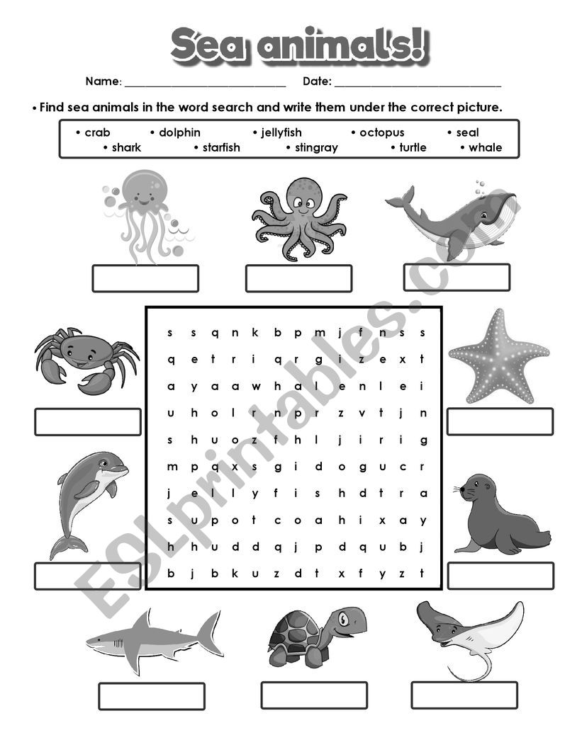 Sea animals word search worksheet