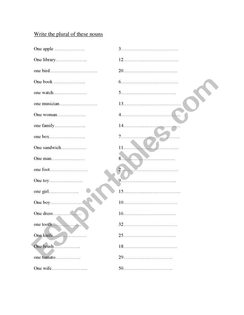 SINGULAR AND PLURAL worksheet