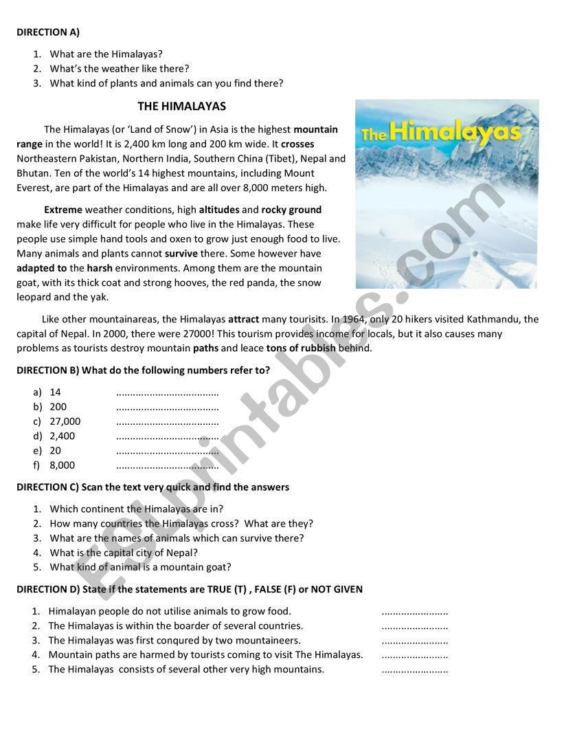 Reading Comprehension worksheet