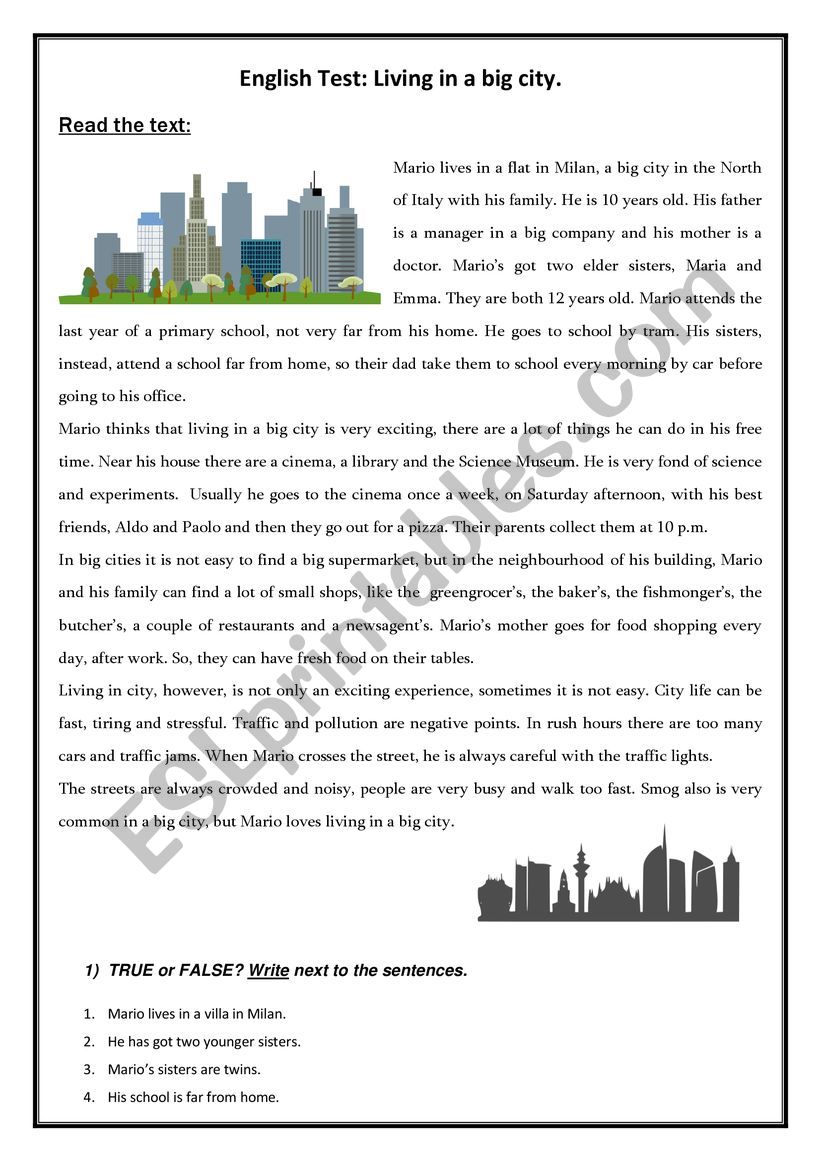 Life in a big city - TEST worksheet