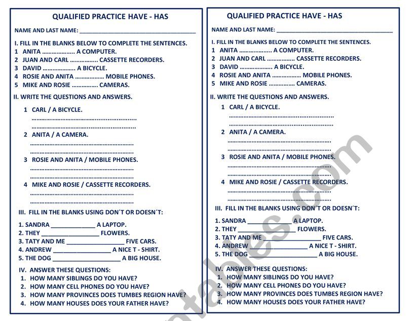 GRAMMAR HAVE - HAS worksheet