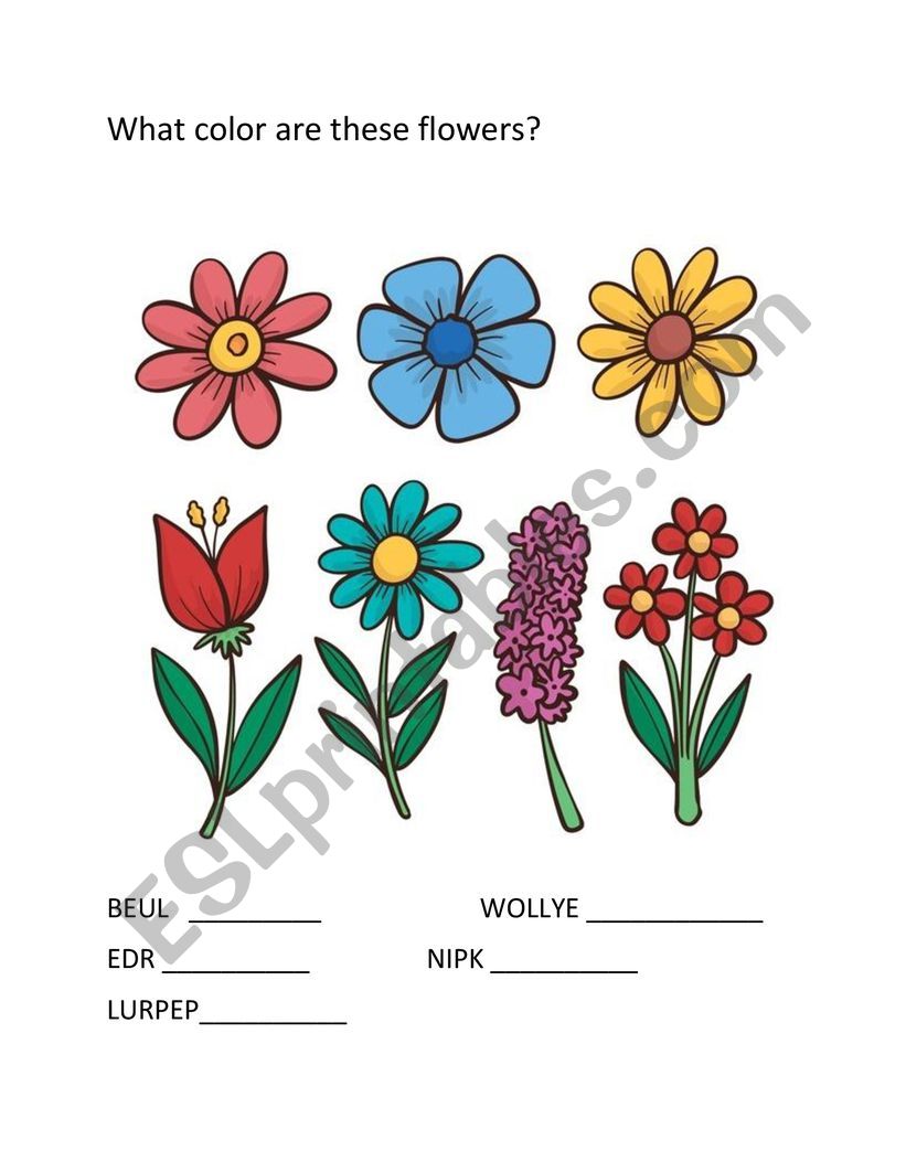 Whats color are these flowers?