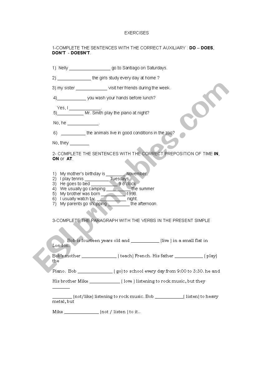 worksheet  present simple /do -does