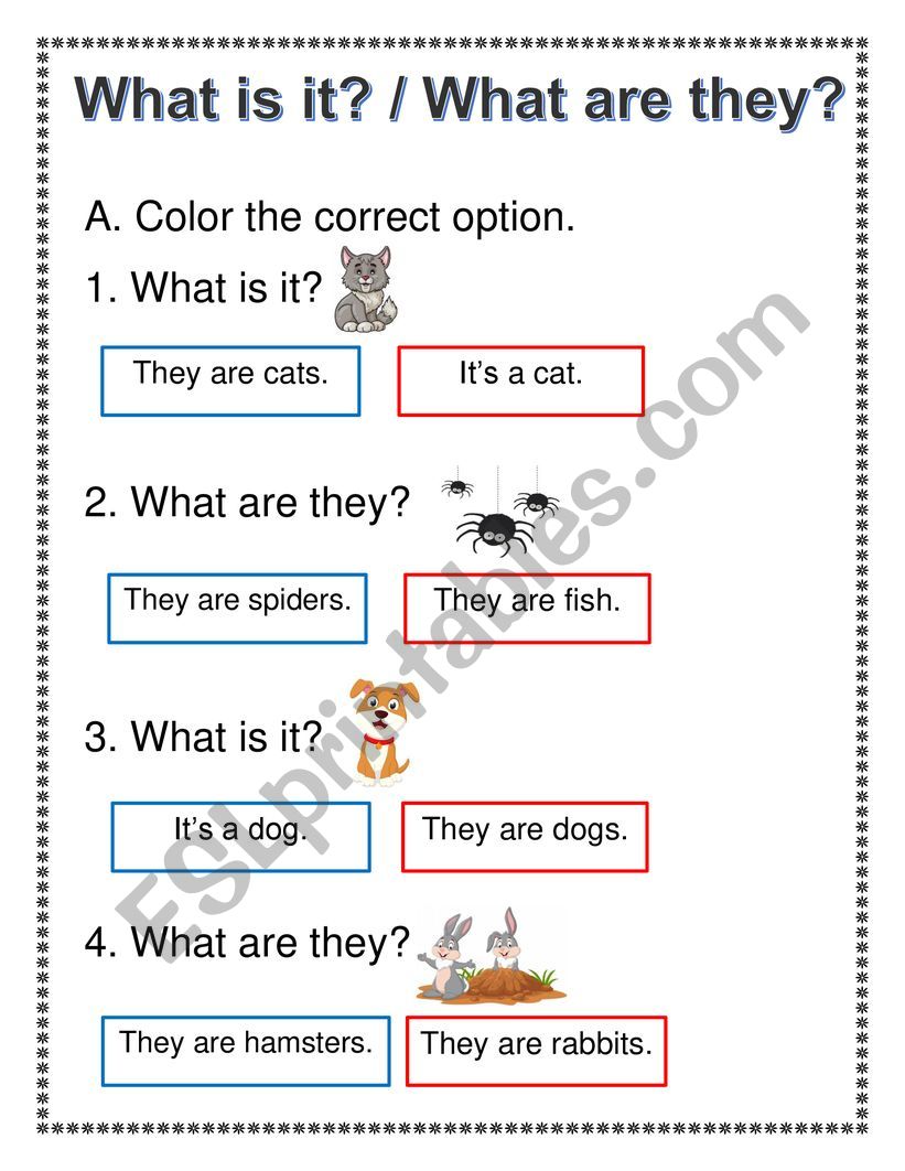 WHAT IS IT? & WHAT ARE THEY? worksheet