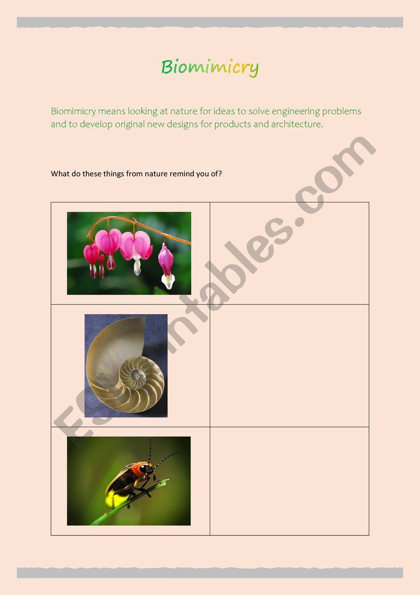 Biomimicry worksheet