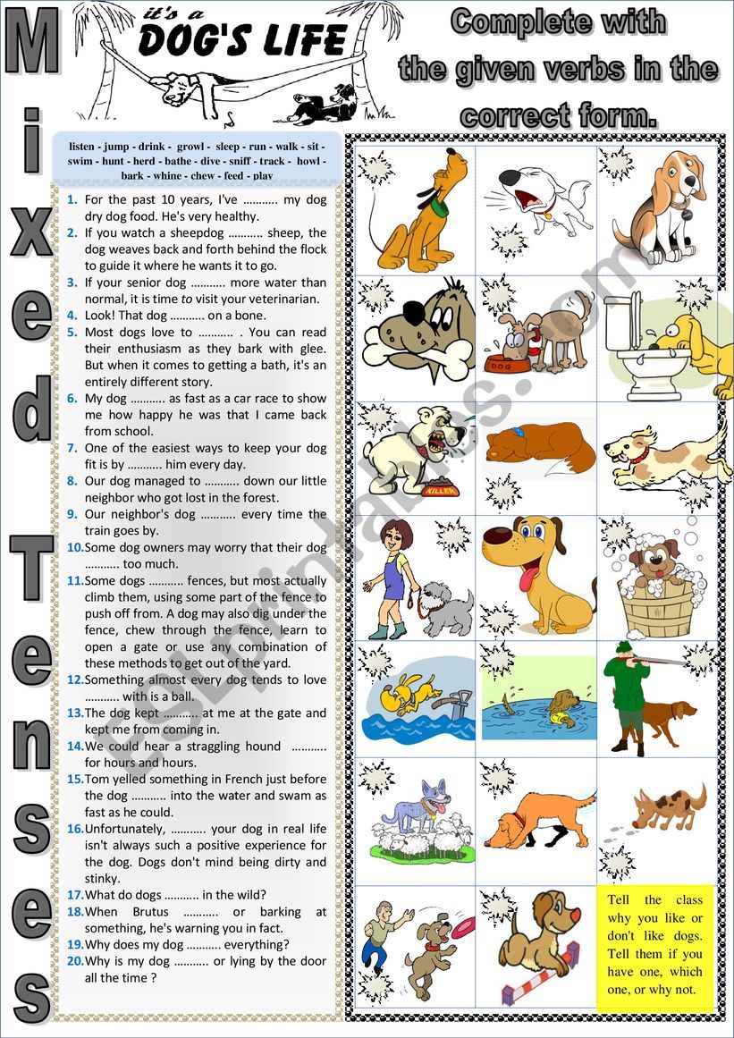 More about dogs I - It is a dog�s life. MIXED TENSES + KEY