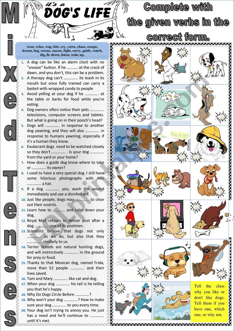 More about dogs II -  It is a dog�s life. MIXED TENSES + KEY