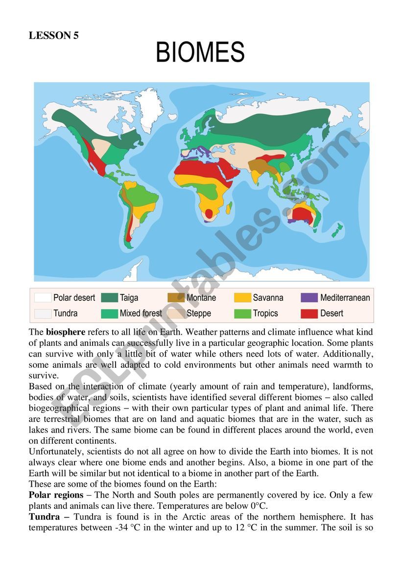 Biomes worksheet