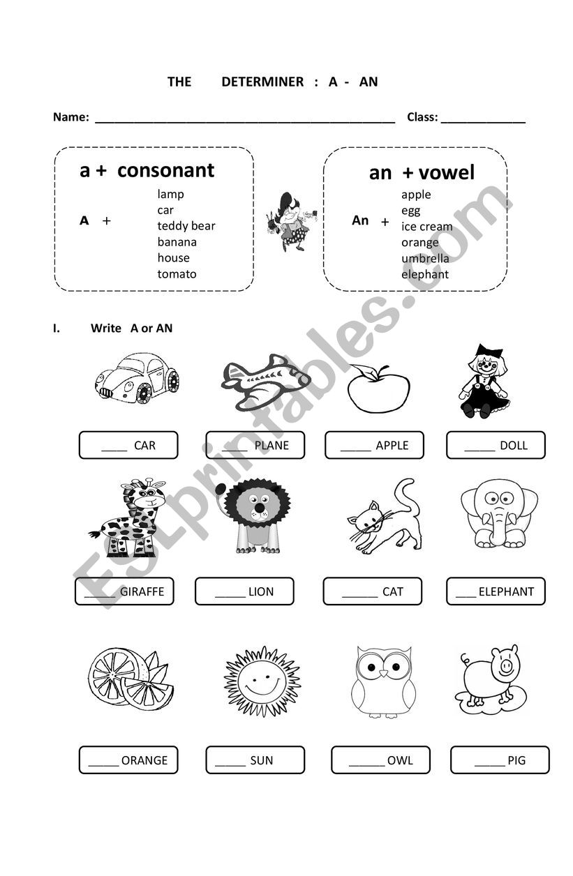 a / an determiner worksheet