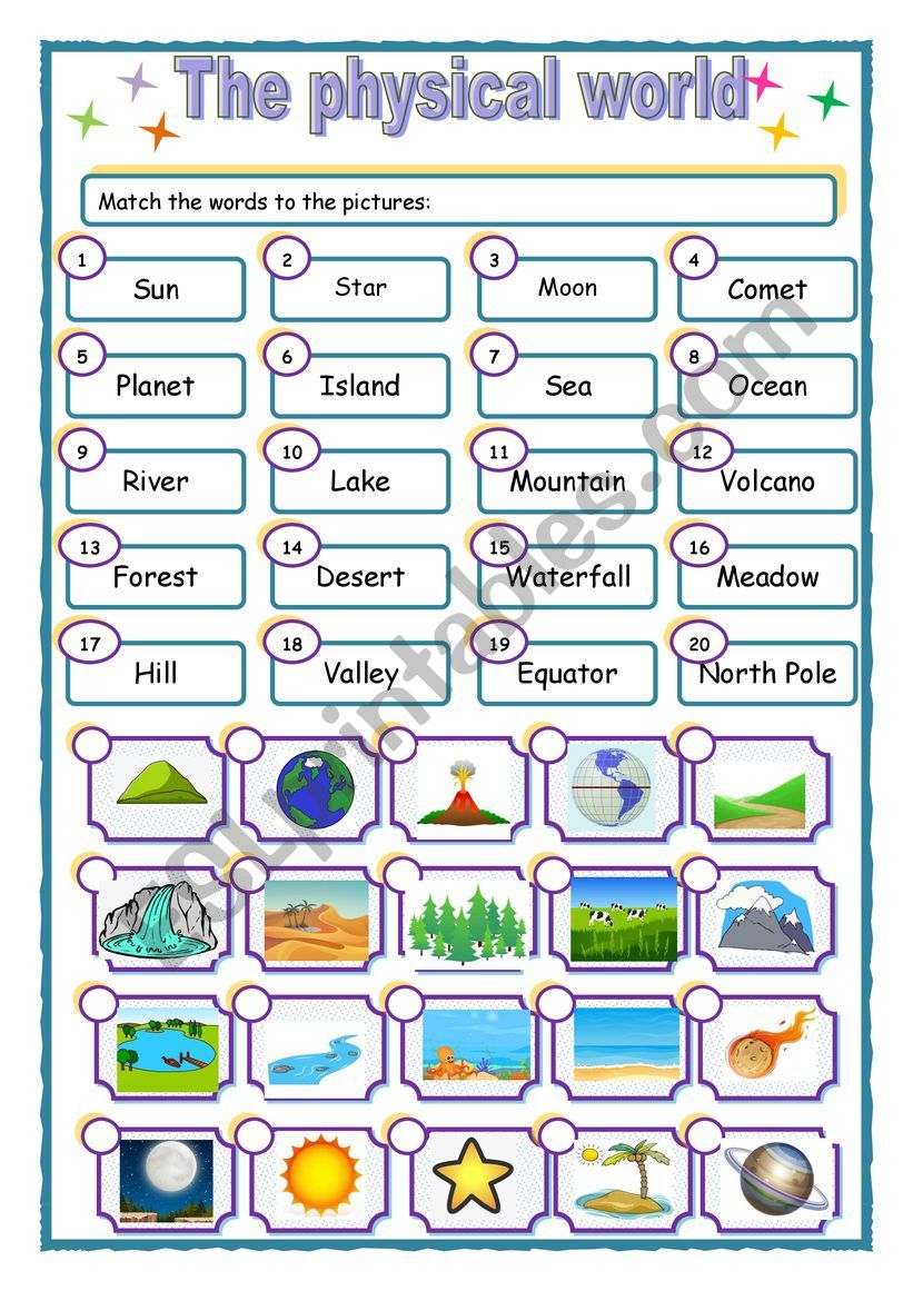 The physical world worksheet