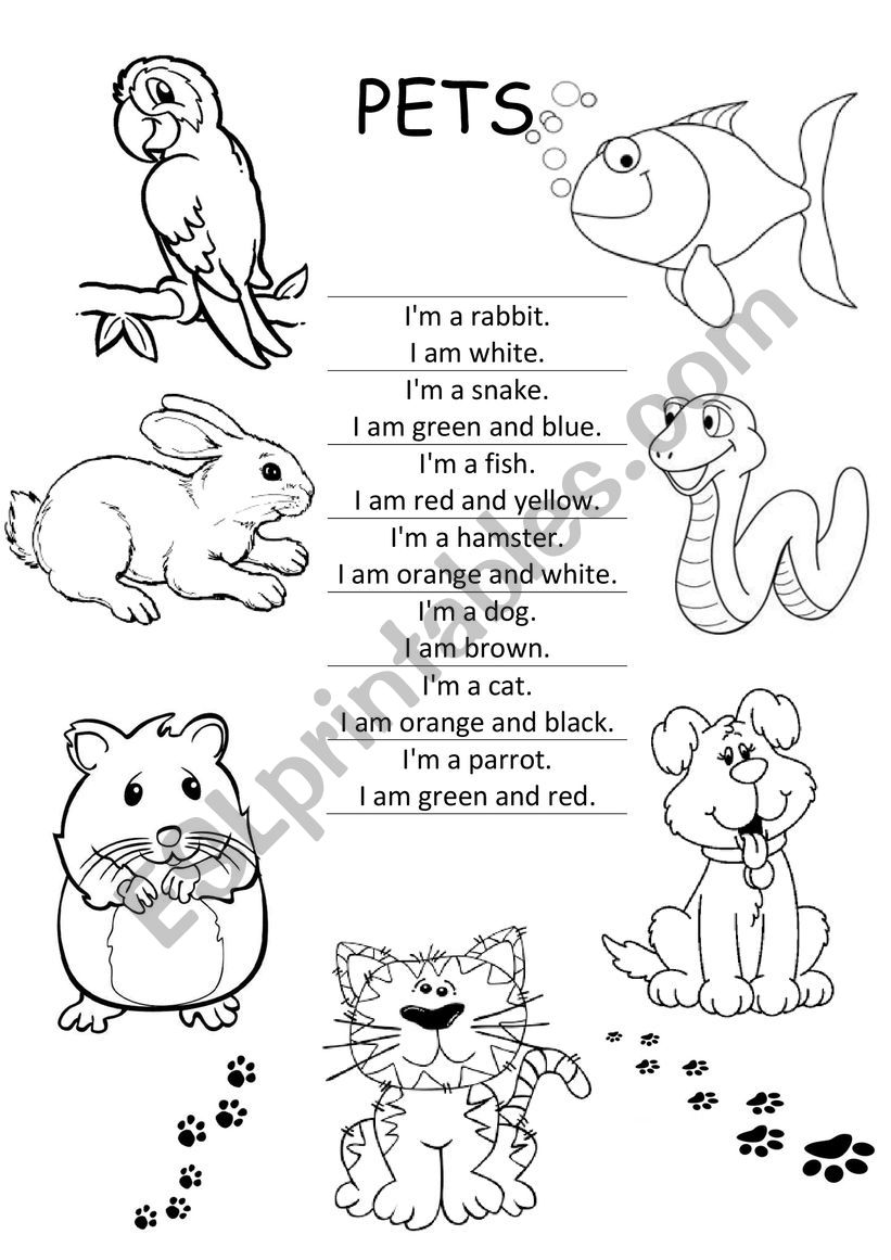 Pets worksheet