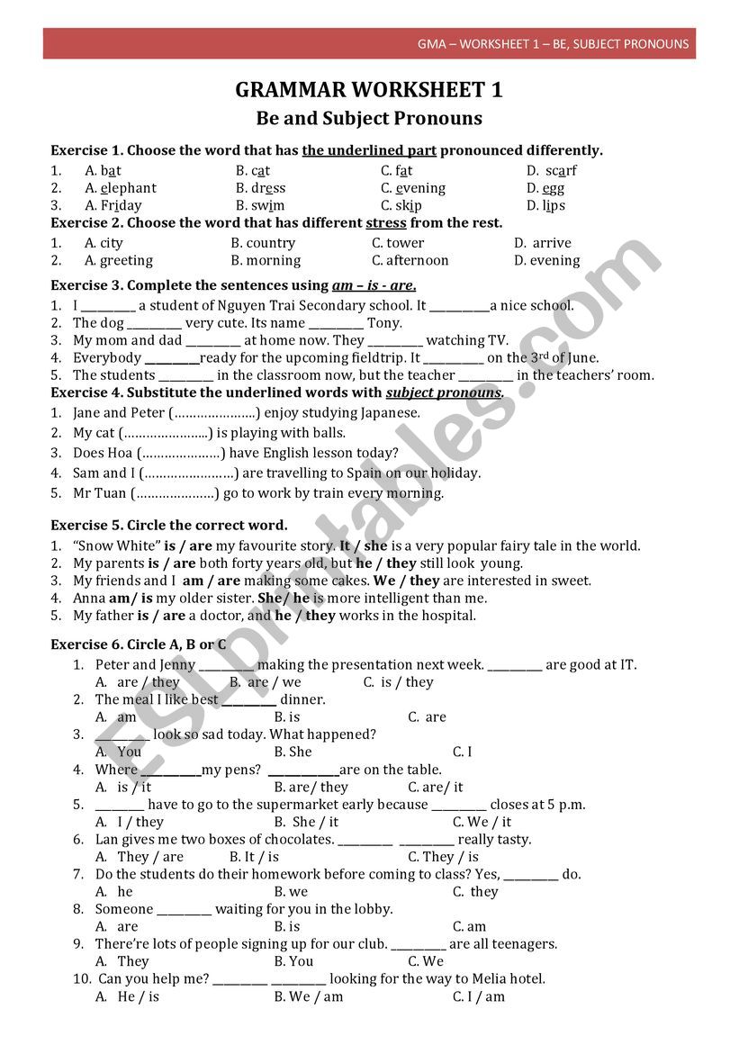 BE & SUBJECT PRONOUNS worksheet