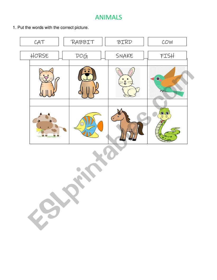 ANIMALS worksheet