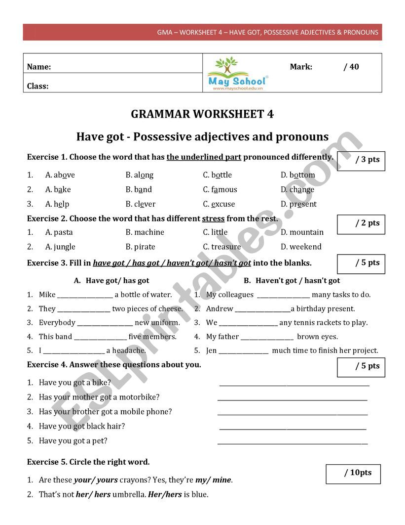 Possessive Adjectives & Pronouns