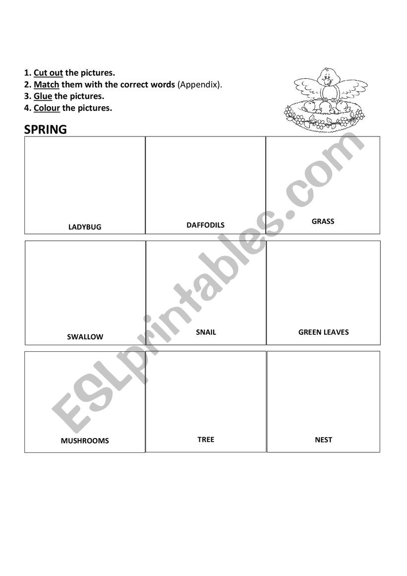 Spring vocabulary worksheet