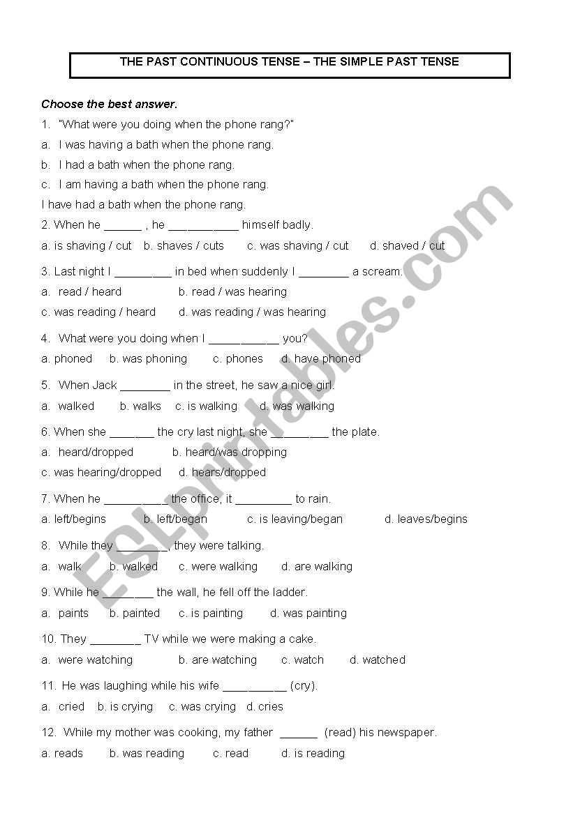 Past Continuous and Simple Past Tense