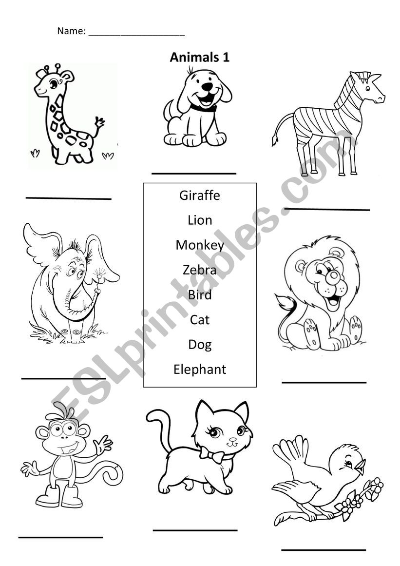 Animals worksheet