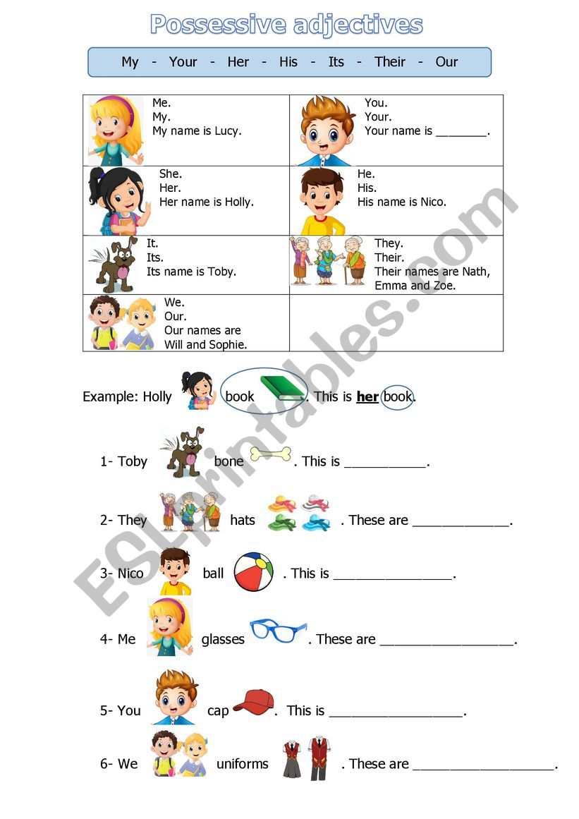 Possessive adjectives worksheet