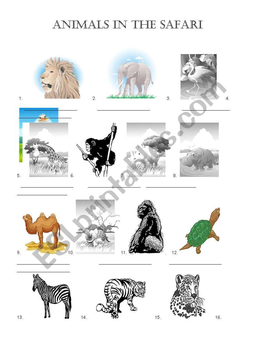 Animals in the safari worksheet