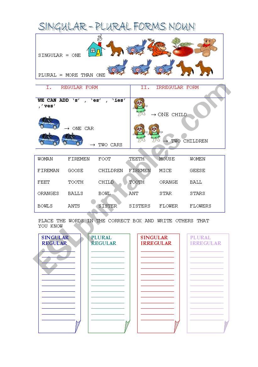 Singular Plural Nouns Exercise and Grammar guide