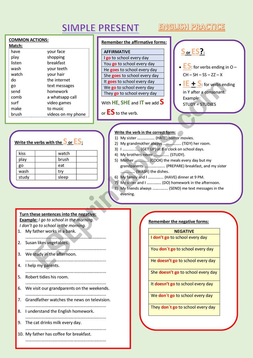 Simple Present worksheet