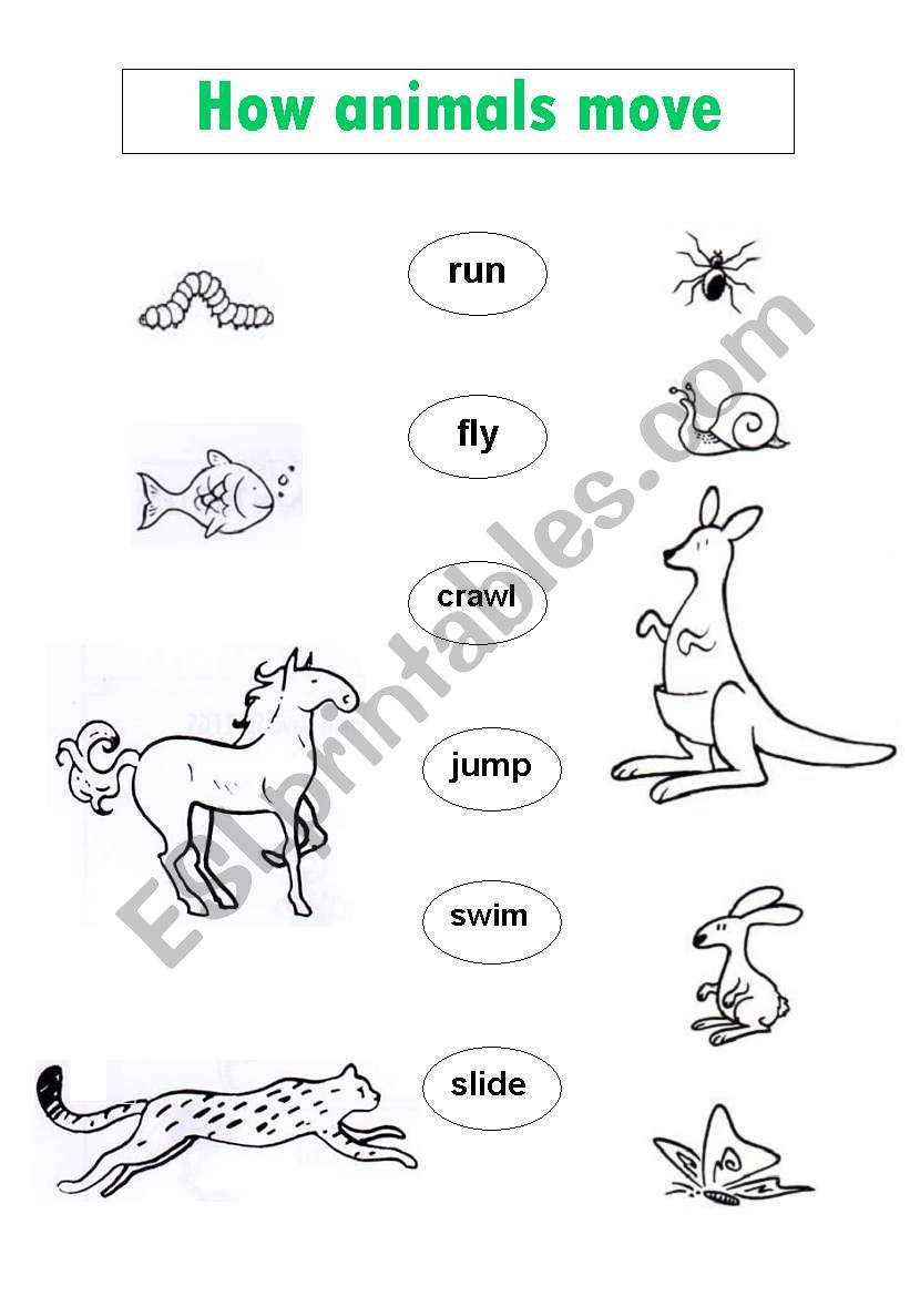 How Animals Move worksheet